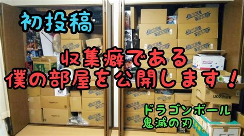 コレクター癖（収集癖）の強い人は要注意！？あなた。